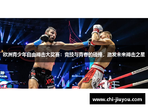 欧洲青少年自由搏击大奖赛：竞技与青春的碰撞，激发未来搏击之星