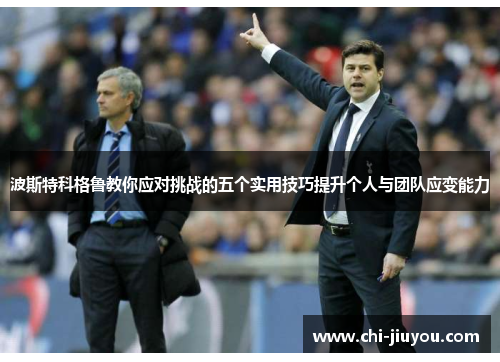 波斯特科格鲁教你应对挑战的五个实用技巧提升个人与团队应变能力