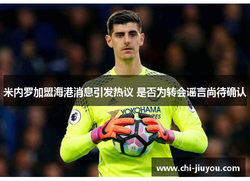 米内罗加盟海港消息引发热议 是否为转会谣言尚待确认 米内罗加盟海港消息引发热议 是否为转会谣言尚待确认