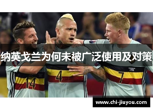 纳英戈兰为何未被广泛使用及对策 纳英戈兰为何未被广泛使用及对策