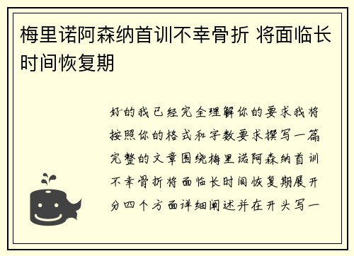 梅里诺阿森纳首训不幸骨折 将面临长时间恢复期